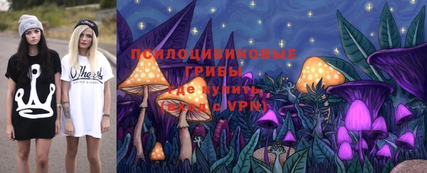прущая мука Алзамай