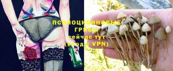 прущая мука Алзамай